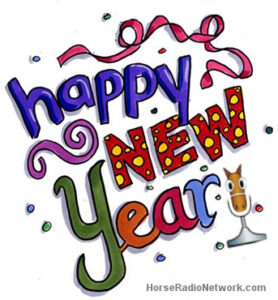 hrnnrwyear2013