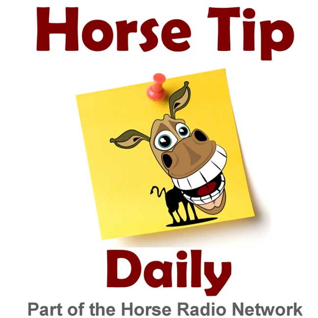Horse Tip Daily