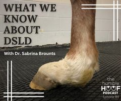 What We Know About DSLD with Dr. Sabrina Brounts, Sponsored by Equithrive